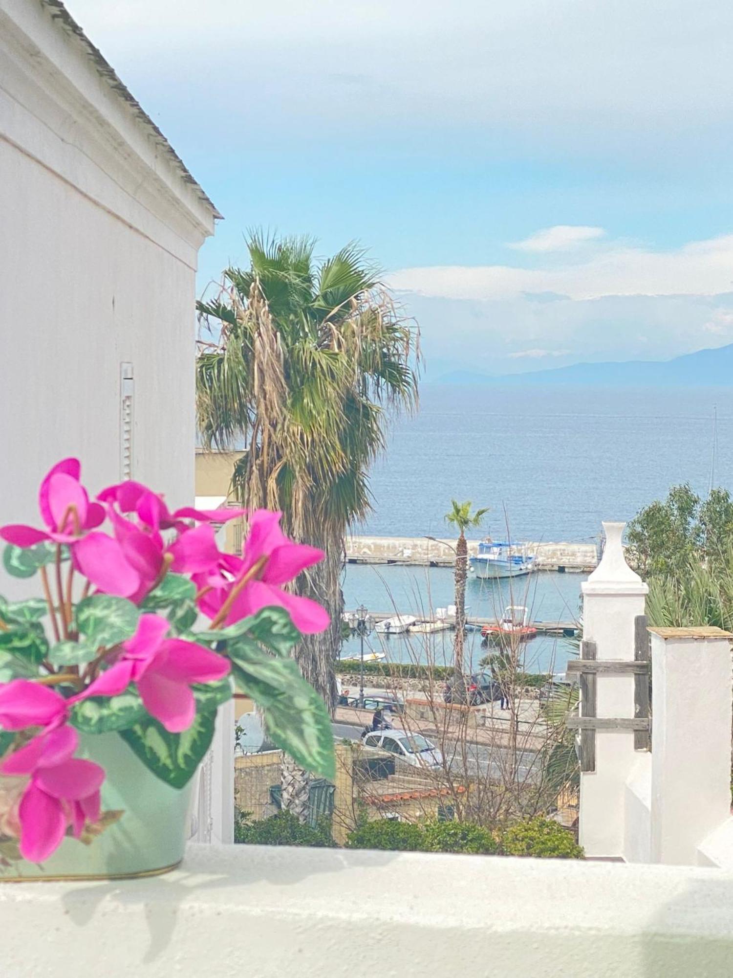 Euploia Apartment Ischia Dış mekan fotoğraf